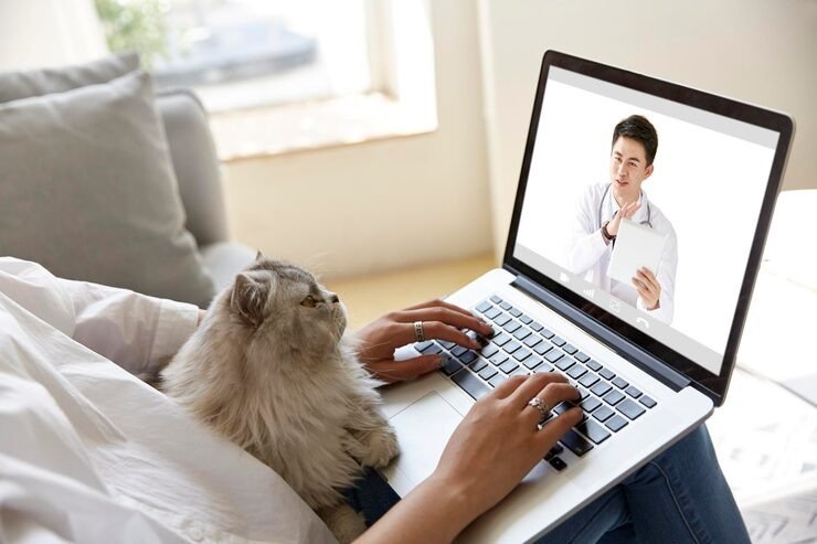 Telehealth