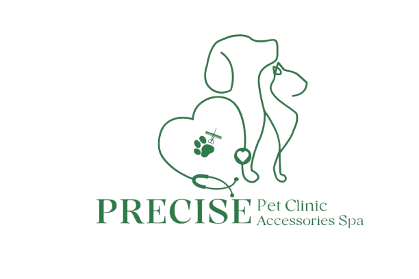 precisepetclinic.com